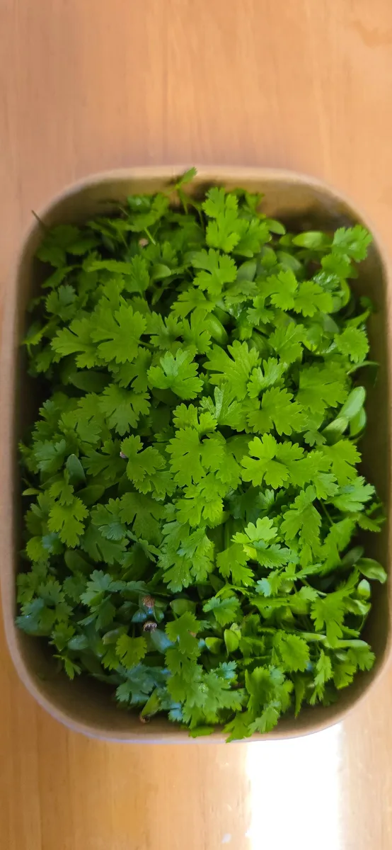 Cardinal Greens termelői galériája, 5. kép
